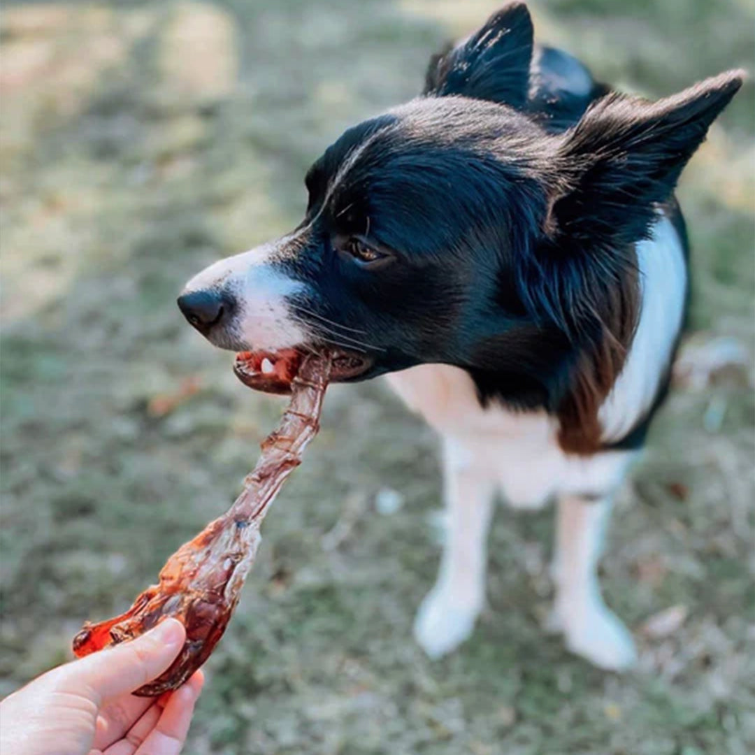 Roo Tendons - Dog Treats